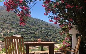 1722 Cosy Home Corbara